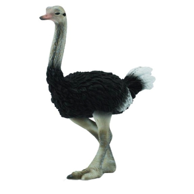 Фигурка Страус Collecta 88459b